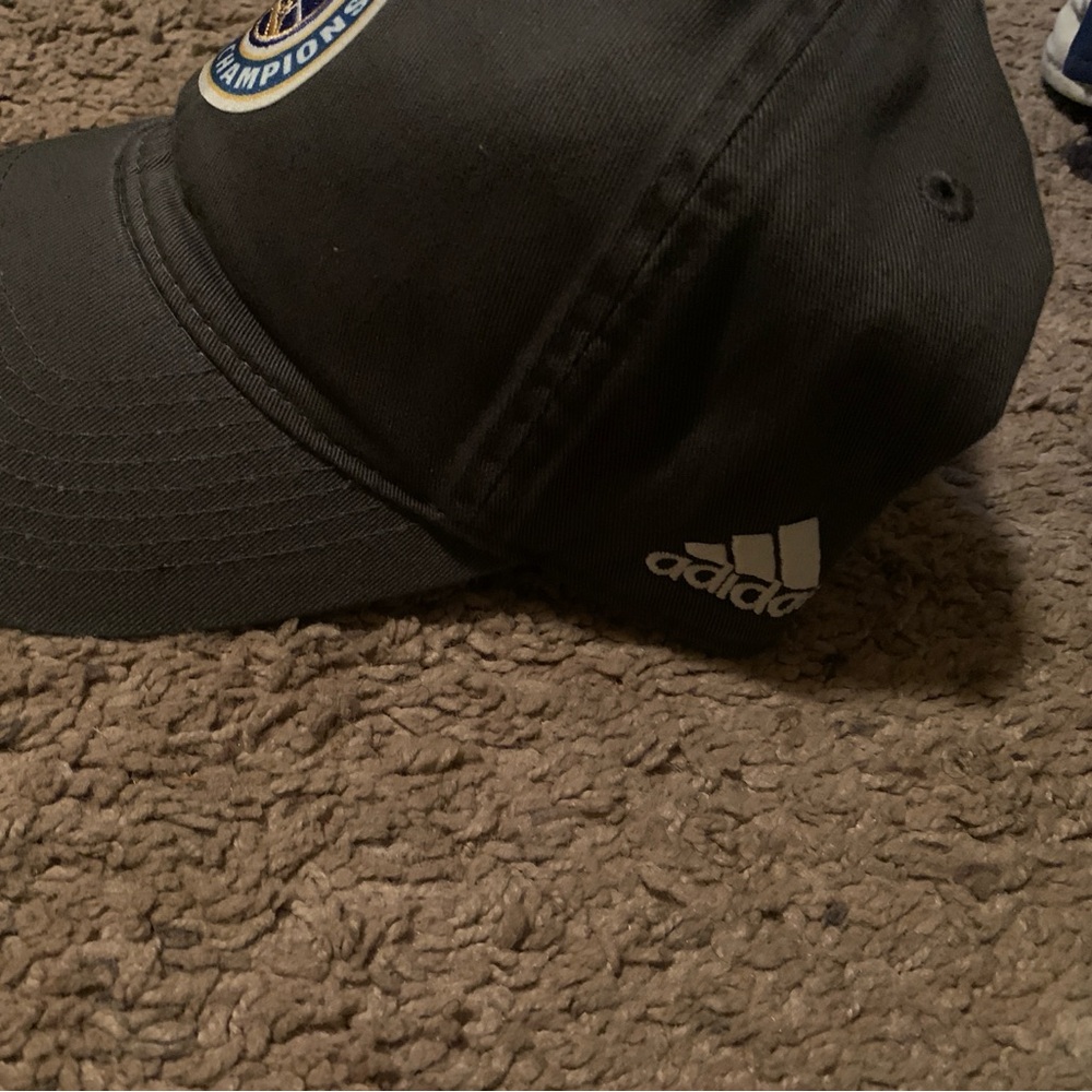 Fanatics Smoke Grey 2017 Champions Cap
